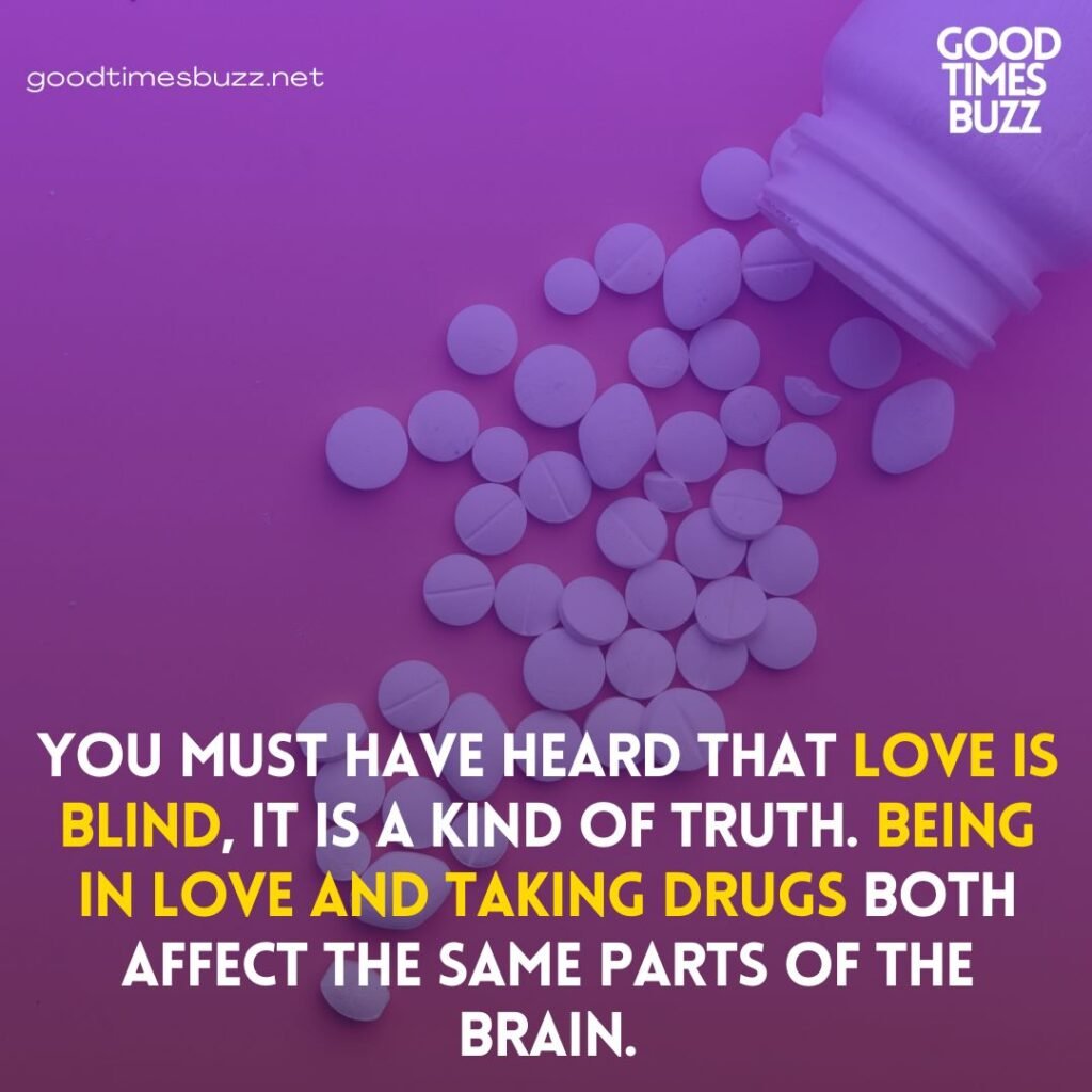 Love is Blind - Facts about Love