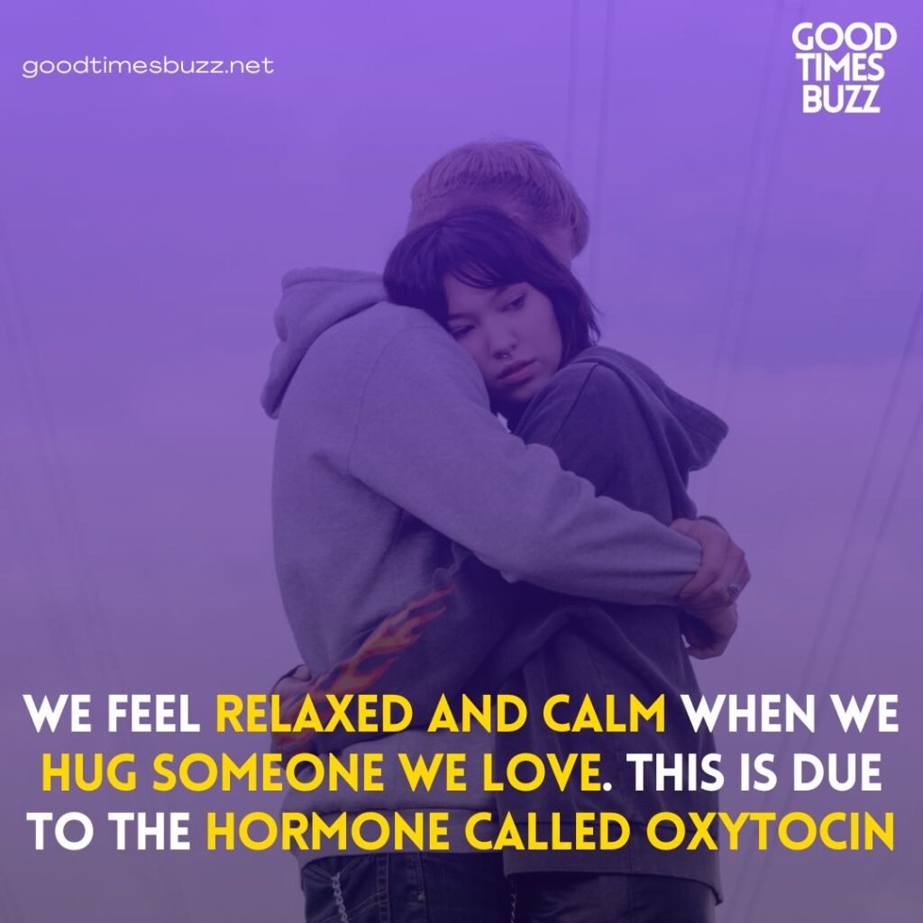 Love Facts - A Hug can relax us