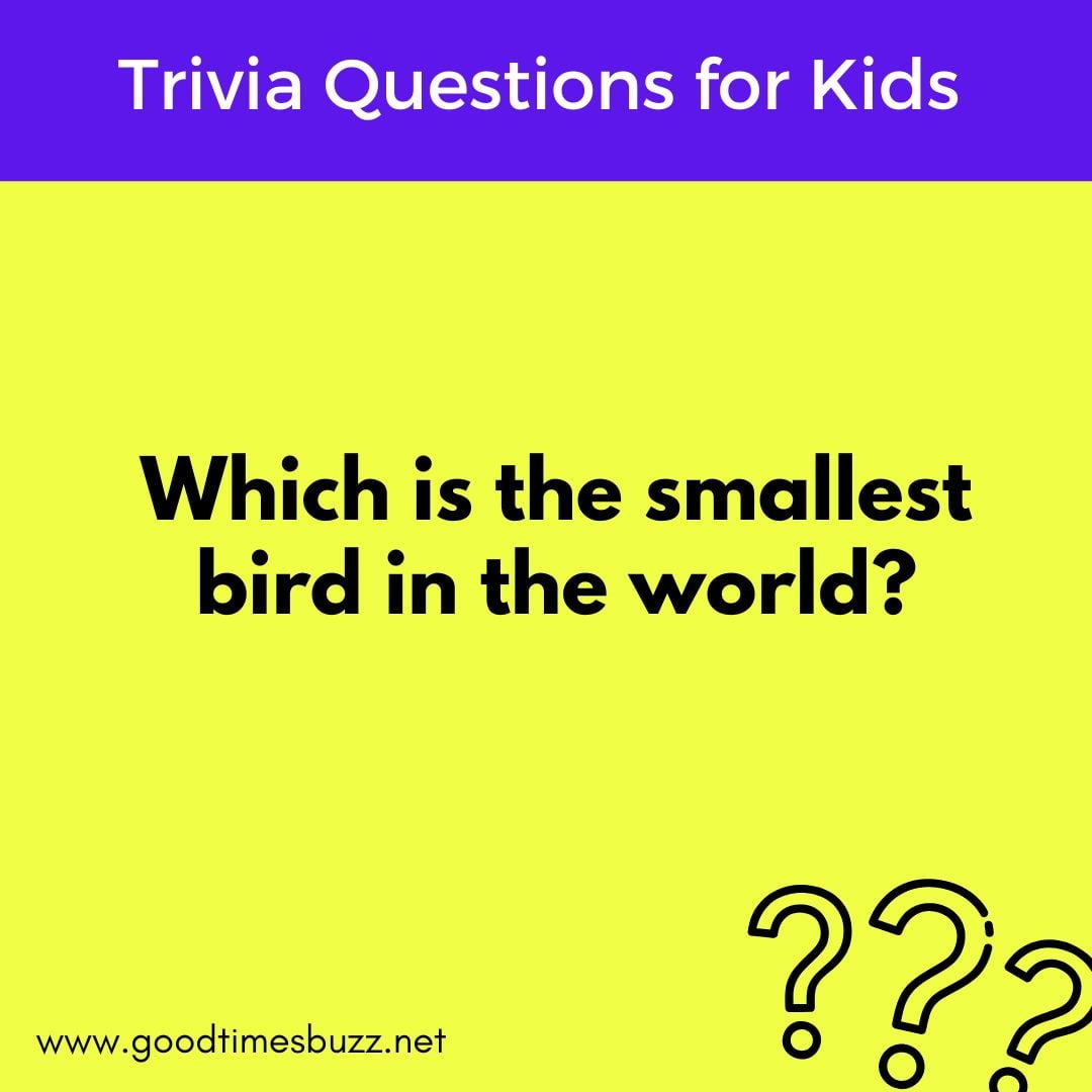 which is the smallest bird on earth?