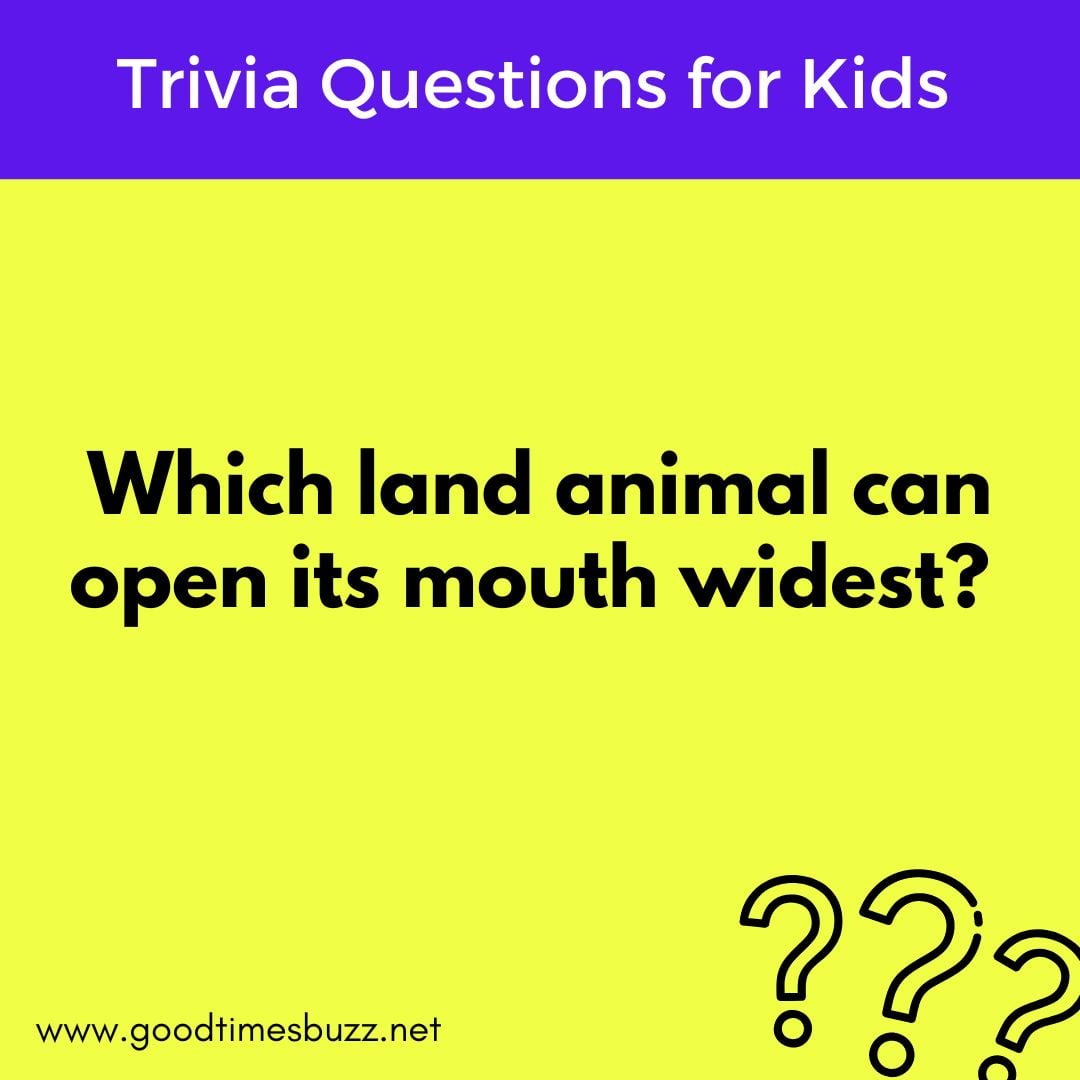 animal trivia questions for kids