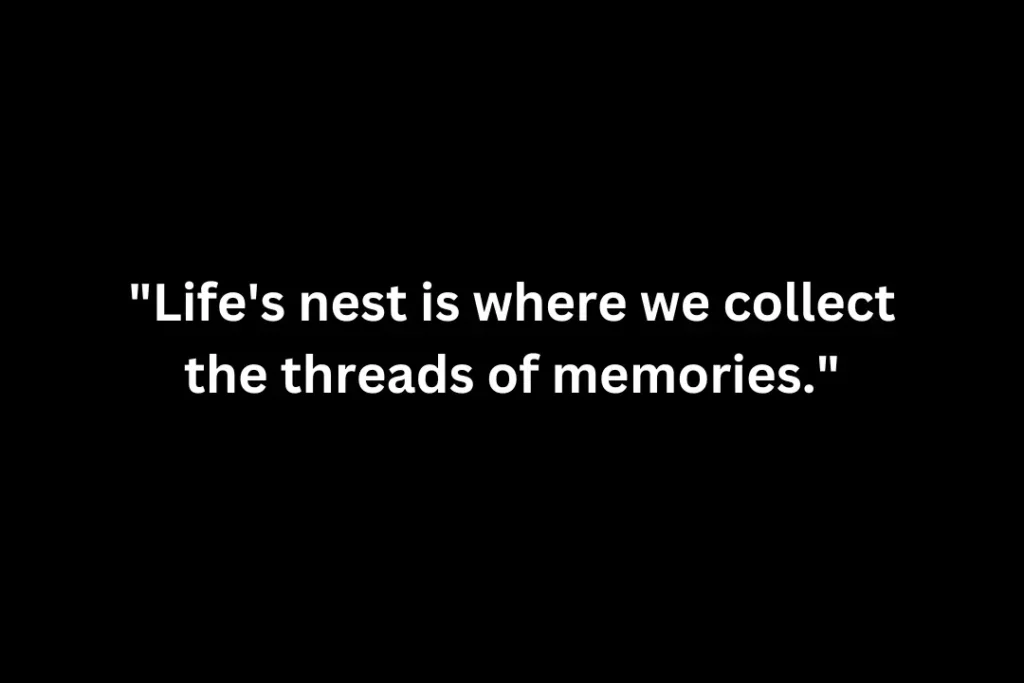 nest quotes about life