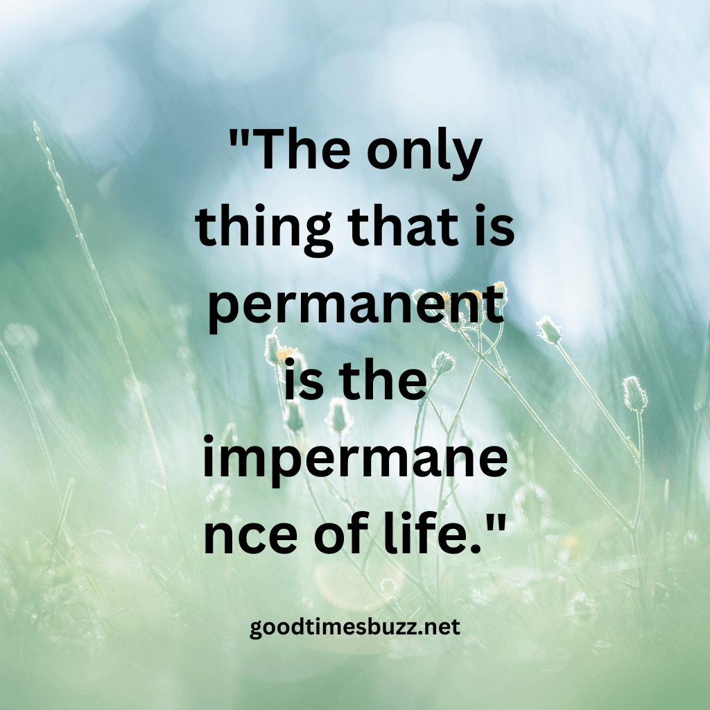 nothing is permanent quotes