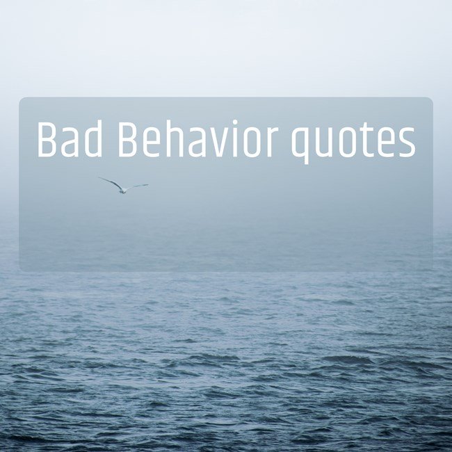 25+ Bad Behavior quotes