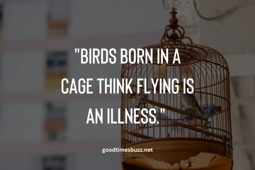 birds in a Cage quotes